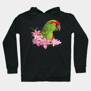 mountain parrot Hoodie